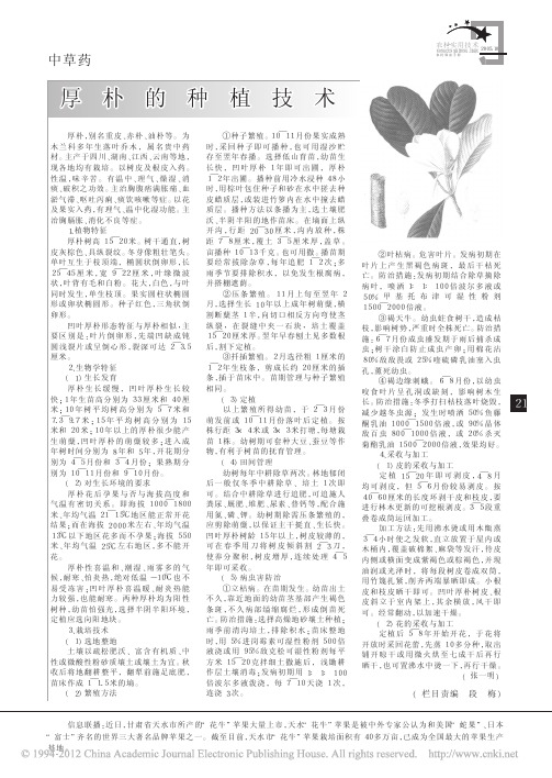 厚朴的种植技术_张一明