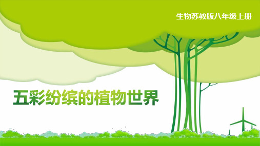 新苏教版八年级生物上册《五彩缤纷的植物世界》教学课件