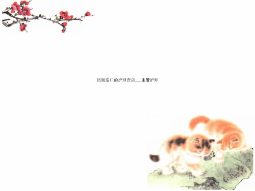 结肠造口的护理查房___主管护师