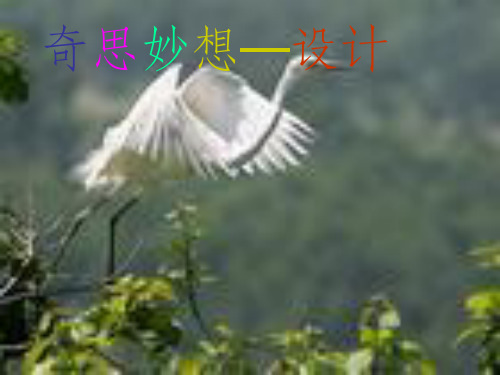 六年级科学上册 3.1《奇思妙想--设计篇》课件3 大象版