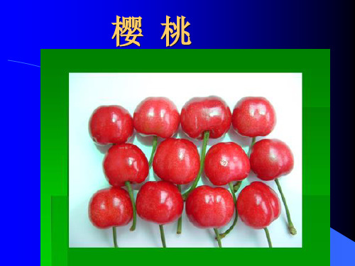 _樱桃种类及发展史