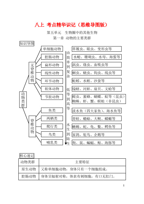 中考生物八上考点精华识记(思维导图版)新人教版