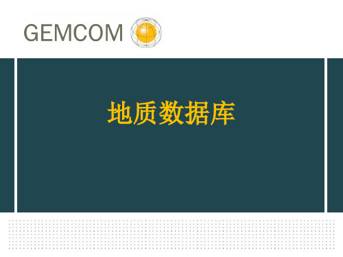 地质数据库 surpac教程
