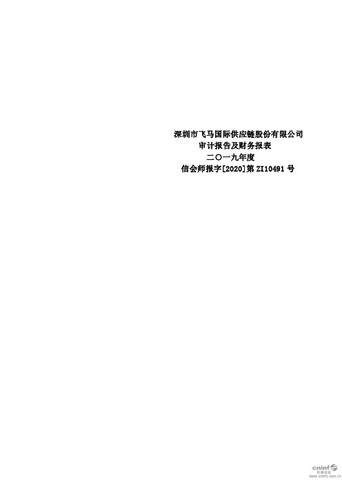 ST飞马：2019年年度审计报告