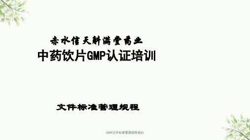 GMP文件标准管理规程培训课件