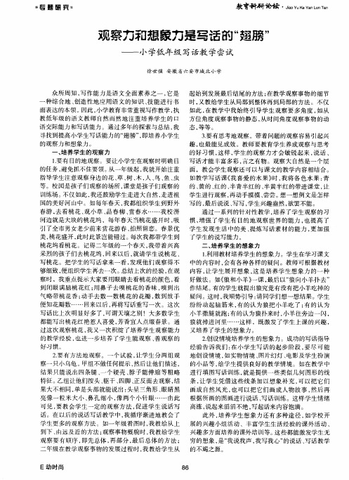 观察力和想象力是写话的“翅膀”——小学低年级写话教学尝试