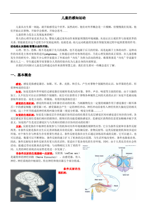感知运动阶段详解