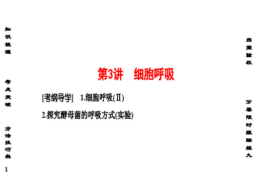高考生物一轮复习 第3单元 细胞代谢 第3讲 细胞呼吸课