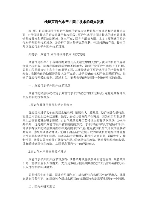 浅谈页岩气水平井固井技术的研究发展