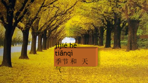 对外汉语教案——季节和天气页PPT文档