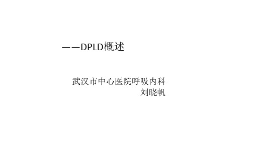 DPLD概述