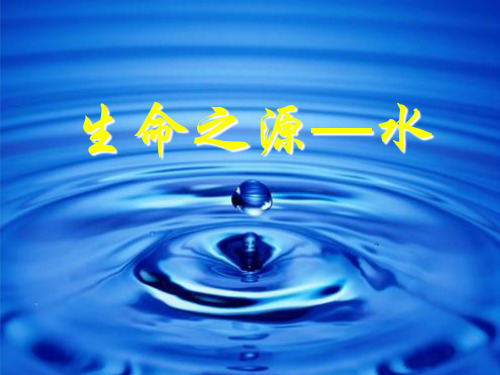 生命之源水人美版四年级美术下册
