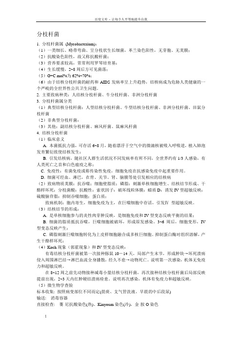 分枝杆菌微生物学查验