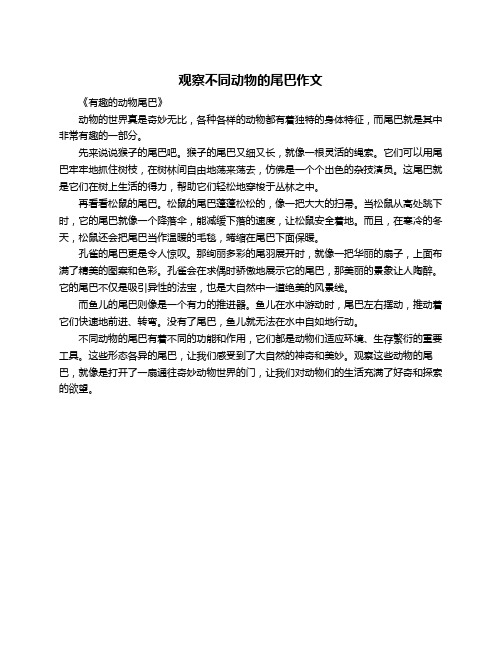 观察不同动物的尾巴作文