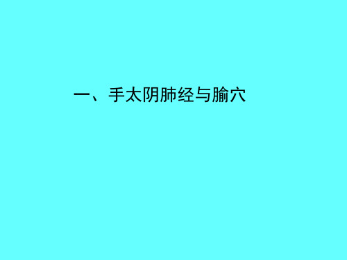 手太阴肺经与腧穴