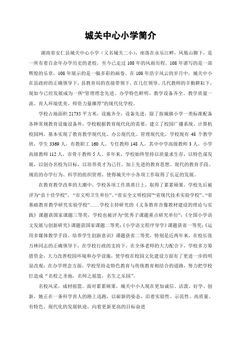 城关中心小学简介
