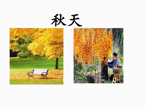 新人教部编版一年级语文上册第四单元课文一同步PPT课件--1、秋天课件   (共14张PPT)