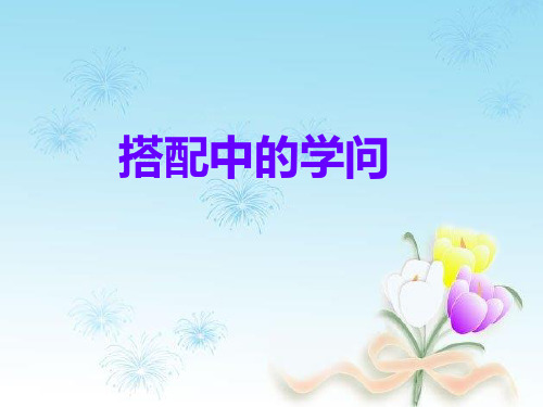 北师大版第五册《搭配中的学问》PPT课件2
