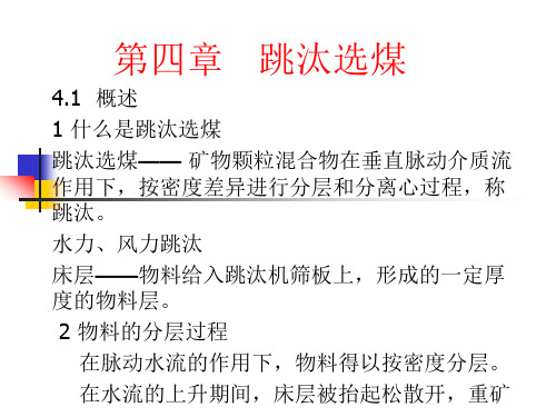 跳汰ppt