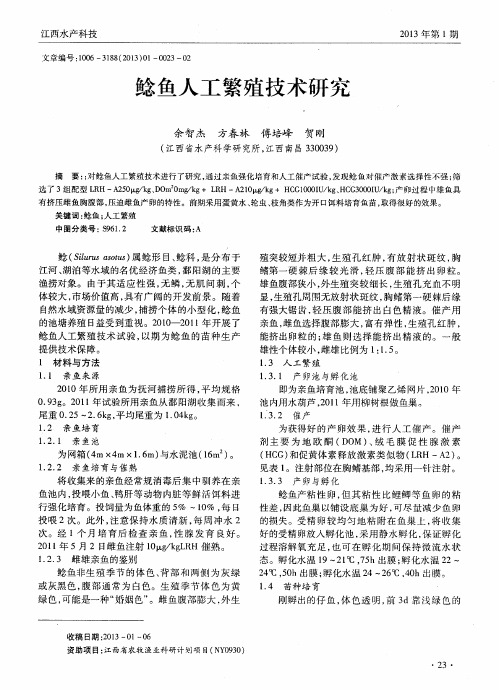 鲶鱼人工繁殖技术研究