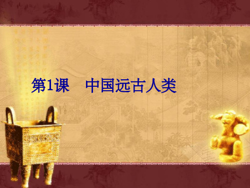七年级历史上册 第一单元第1课中国远古人类课件 华东师大版
