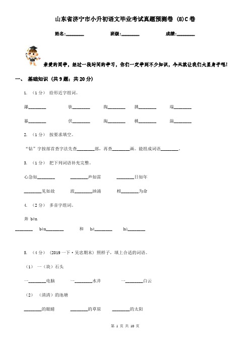 山东省济宁市小升初语文毕业考试真题预测卷 (8)C卷