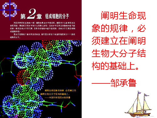 高中生物《细胞中的元素和化合物》优秀课件