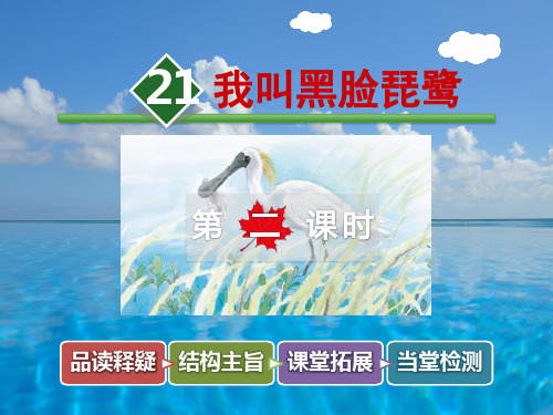 语文二上第21课《我叫黑脸琵鹭》(第2课时)ppt课件