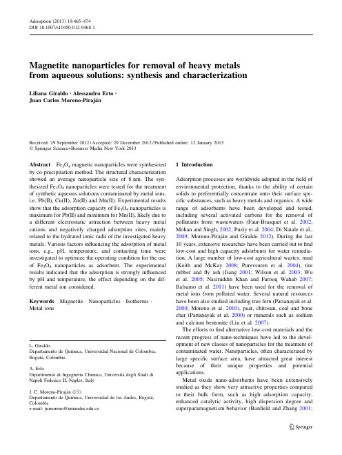 Magnetite nanoparticles for removal of heavy metals