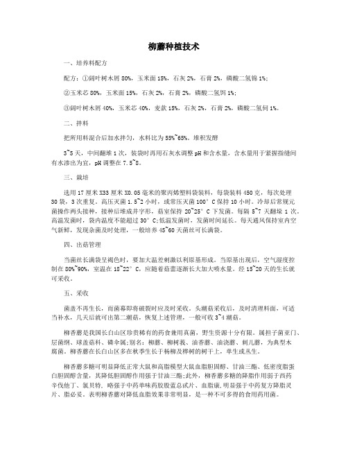 柳蘑种植技术