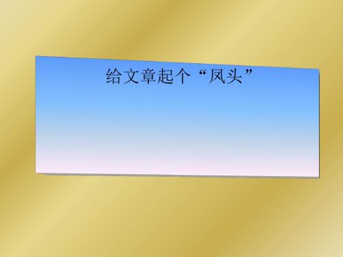初中作文指导之给文章起个“凤头”优秀课件