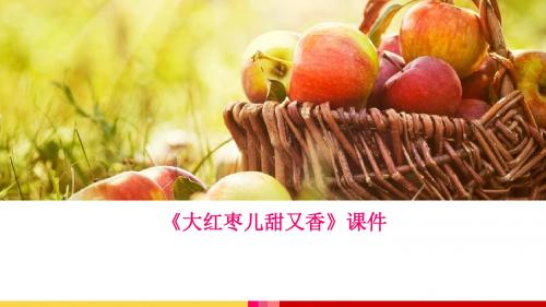 《大红枣儿甜又香》课件3