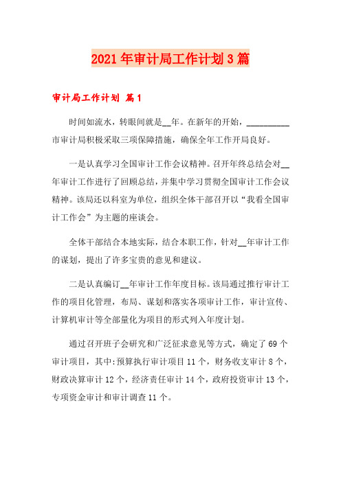 2021年审计局工作计划3篇