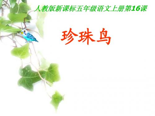 小学五上16课《珍珠鸟》非常全的课件