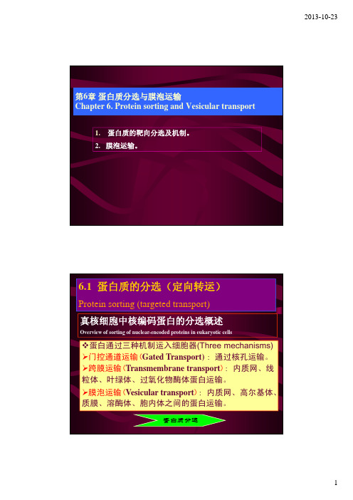 第6章 蛋白质分选与膜泡运输 [兼容模式]