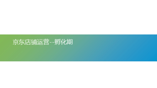 店铺运营前期(PPT 46页)