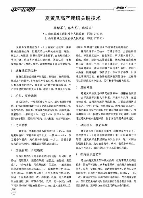 夏黄瓜高产栽培关键技术