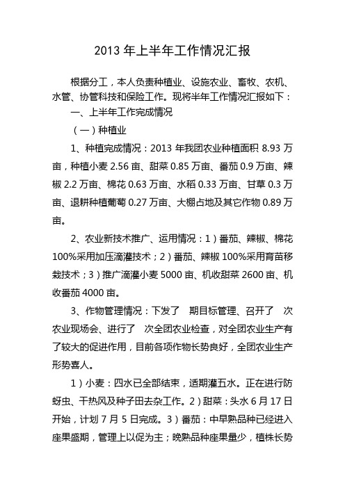 2013年上半年工作情况汇报
