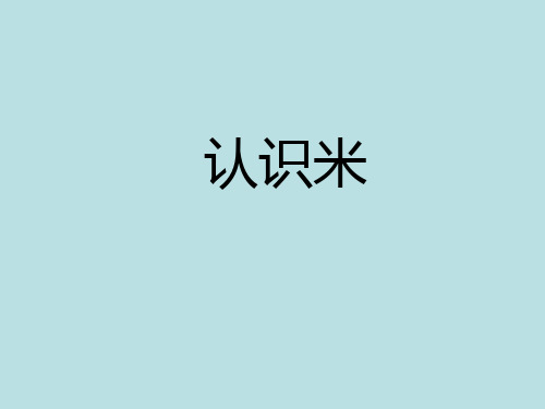 三年级上册数学课件-5.2 几何小实践(米与厘米)▏沪教版 (共13张PPT)