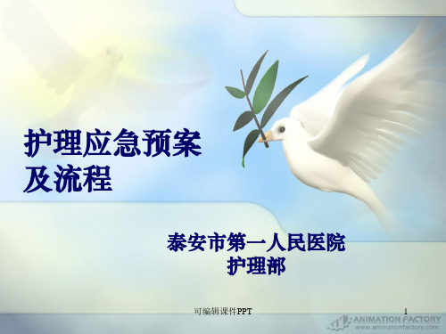 护理应急预案及流程ppt课件