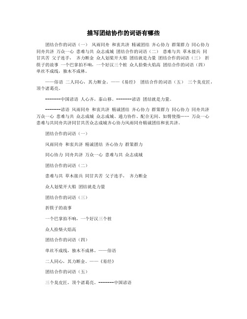 描写团结协作的词语有哪些