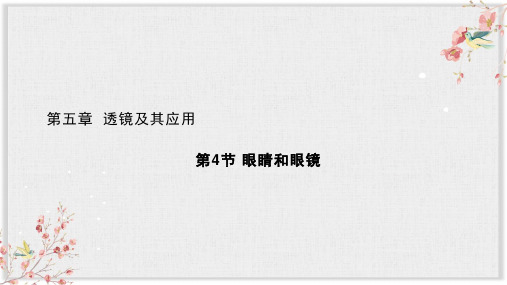 人教版八年级物理上册PPT课件《眼睛和眼镜》
