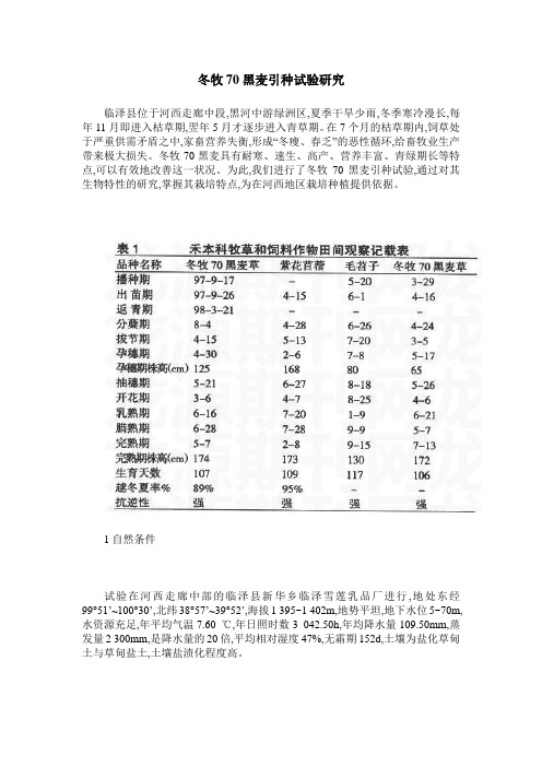 冬牧70黑麦引种试验研究