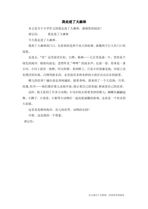 我走进了大森林_小学作文_1
