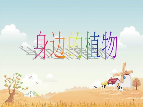 身边的植物ppt课件