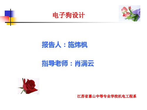 电子狗设计
