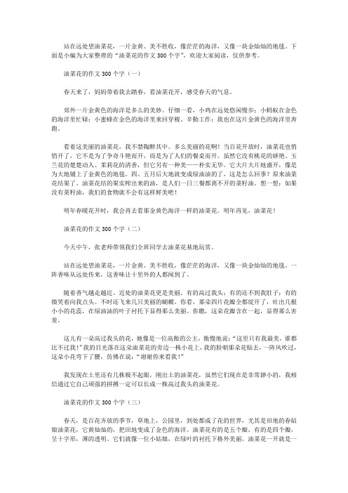 油菜花的作文300个字