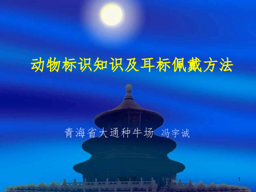 动物标识知识及耳标佩戴方法ppt课件
