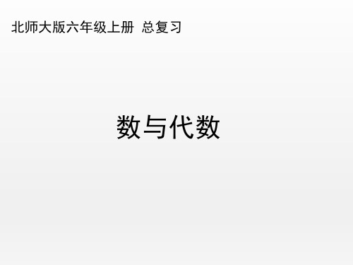 北师大版小学数学六年级上册《数与代数》名师复习课件