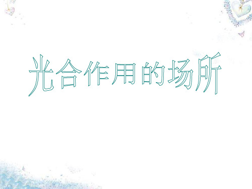 【最新名师精品】冀教初中生物八上《3.3第3节 光合作用的场所》PPT课件 (4).ppt